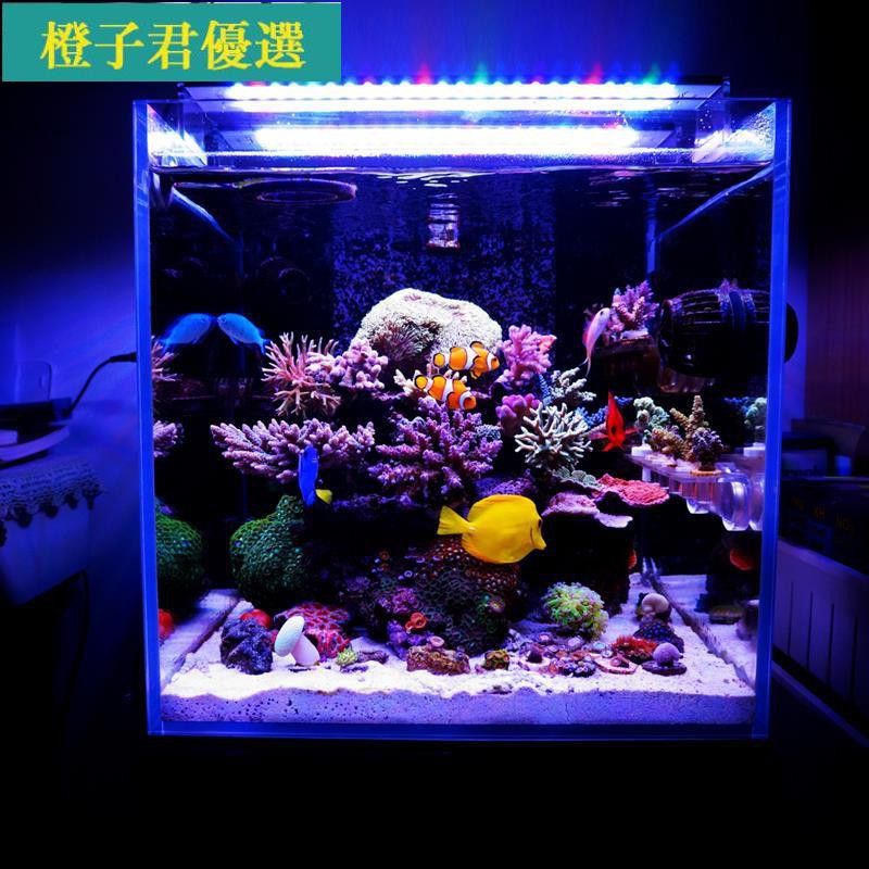 千尋海水燈的價格推薦 21年11月 比價比個夠biggo