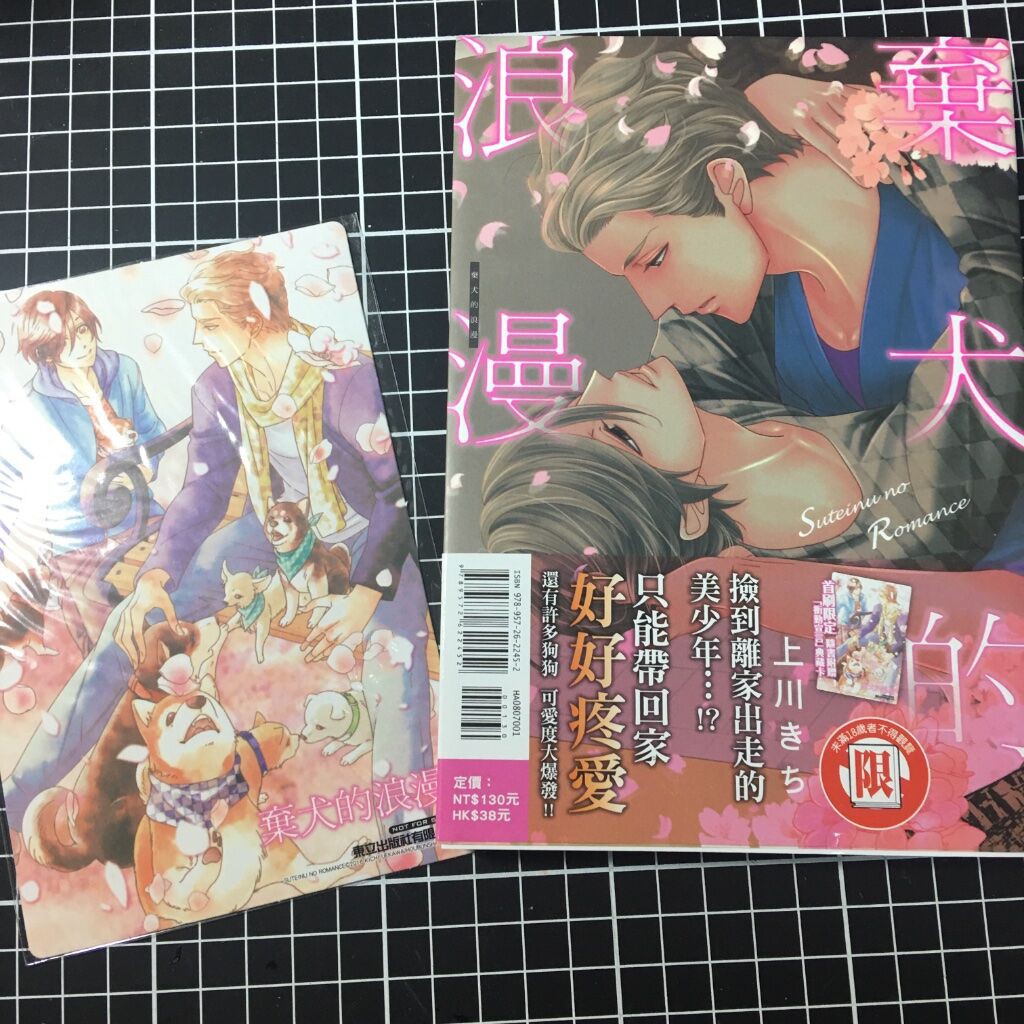 Bl 漫画出版社 世界漫画の物語