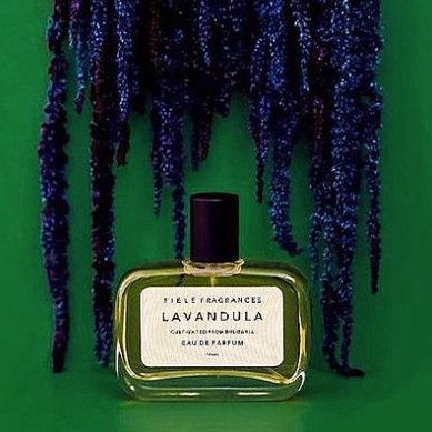 菲勒香氛美好薰衣草Fiele Fragrances Lavandula 被温柔包裹| 蝦皮購物