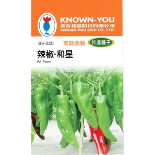 種子王國 辣椒-和星【特選種子】果實羊角型 早生品種農友牌 特選小包裝種子 約30粒/包
