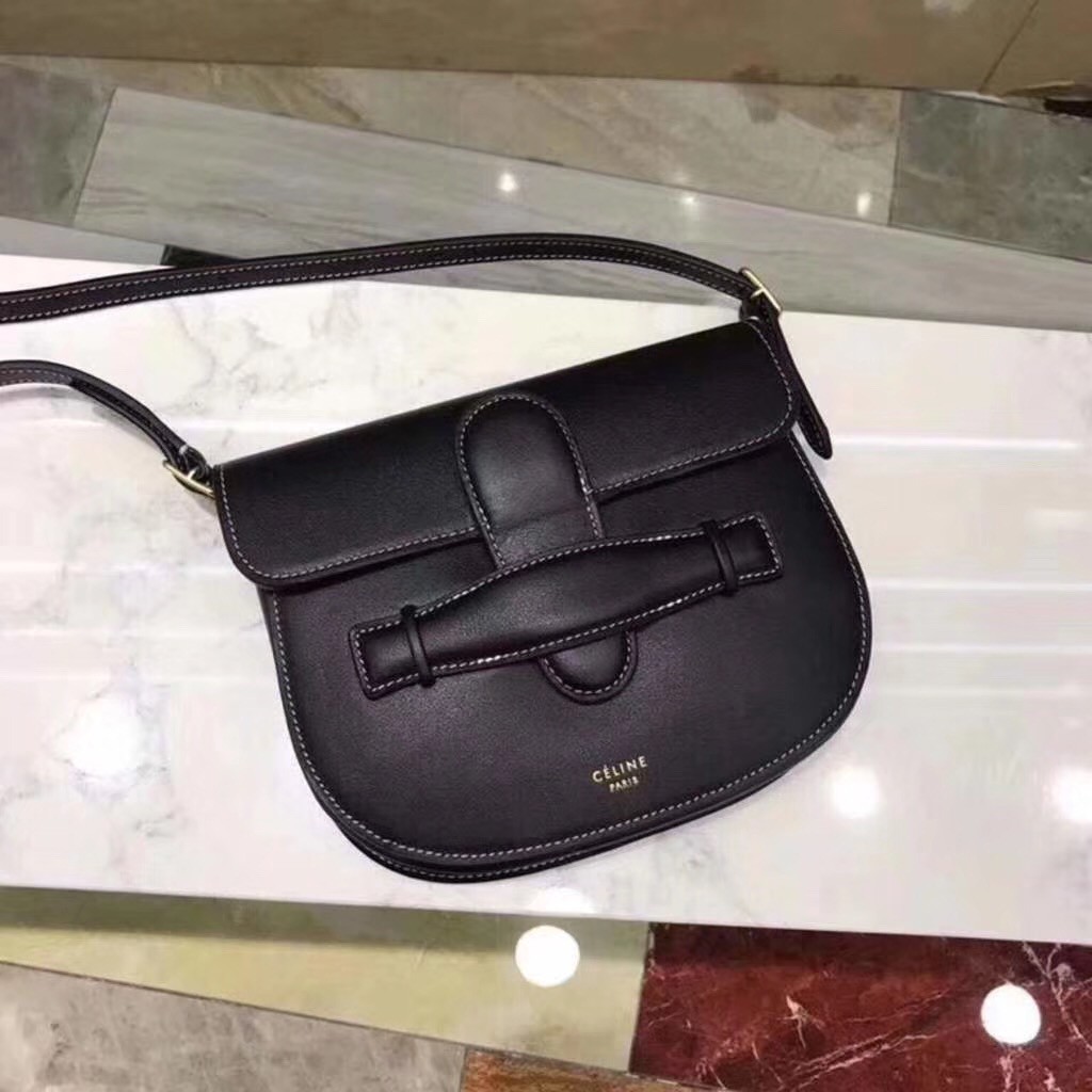 celine symmetrical mini