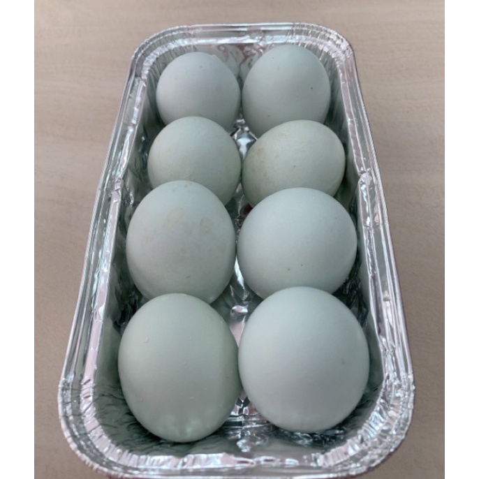 藍殻雞種蛋、受精蛋、蛋丶(一組五粒250元）
