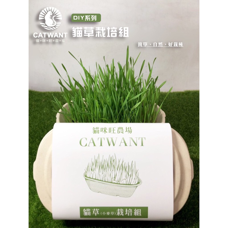貓咪旺農場 貓草 小麥草 栽培組diy種植發芽率高達95 貓草小麥草 蝦皮購物