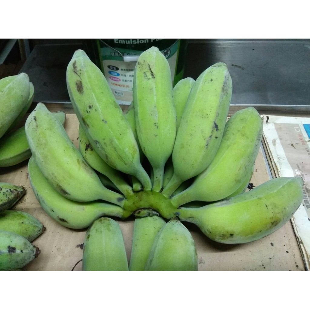 芭蕉 一斤35元 營養新鮮 小農自產自銷 便宜賣 無噴灑農藥 北投區面交