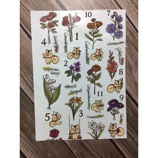 誕生花 優惠推薦 年10月 蝦皮購物台灣