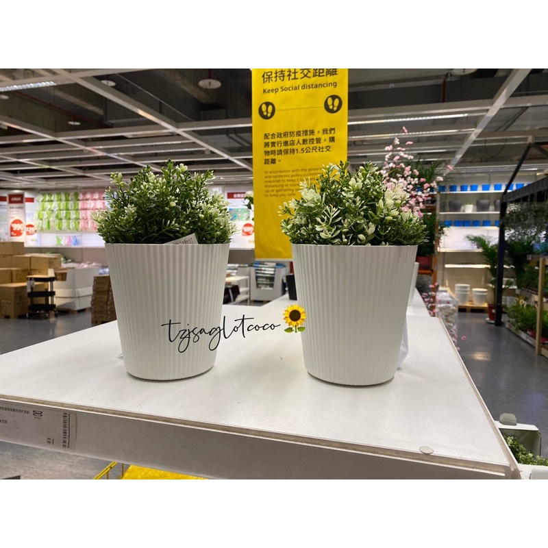 宜家家居 代購 Nejkon 花盆 白色 蝦皮購物