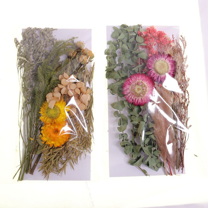 巨橡 滴膠樹脂裝飾浮油花永生花乾花珠寶製作相框壓花材料diy 蝦皮購物