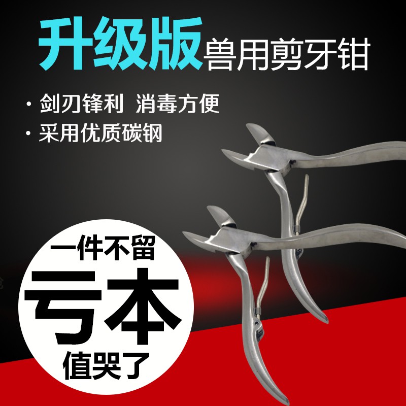 *凱悅畜牧館* 可支援批發團購進口兔子剪牙鉗豬用不銹鋼剪牙齒鉗子斜口小仔豬寵物不銹鋼剪牙鉗
