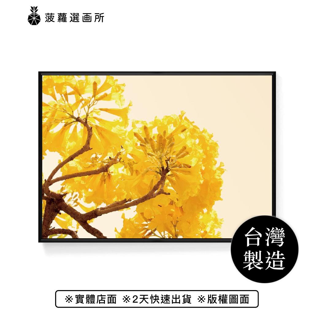 金黃盛宴II - 黃金風鈴木攝影掛畫/植物裝飾畫/角落擺設佈置