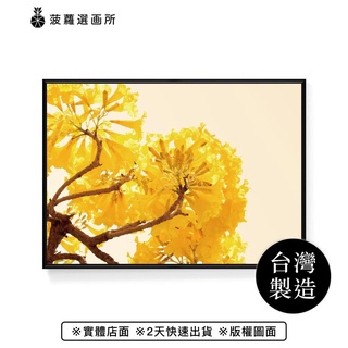 金黃盛宴II - 黃金風鈴木攝影掛畫/植物裝飾畫/角落擺設佈置