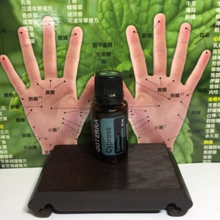 【美國代購】多特瑞絲柏精油 15 ml EXP 2029.5～美國總公司