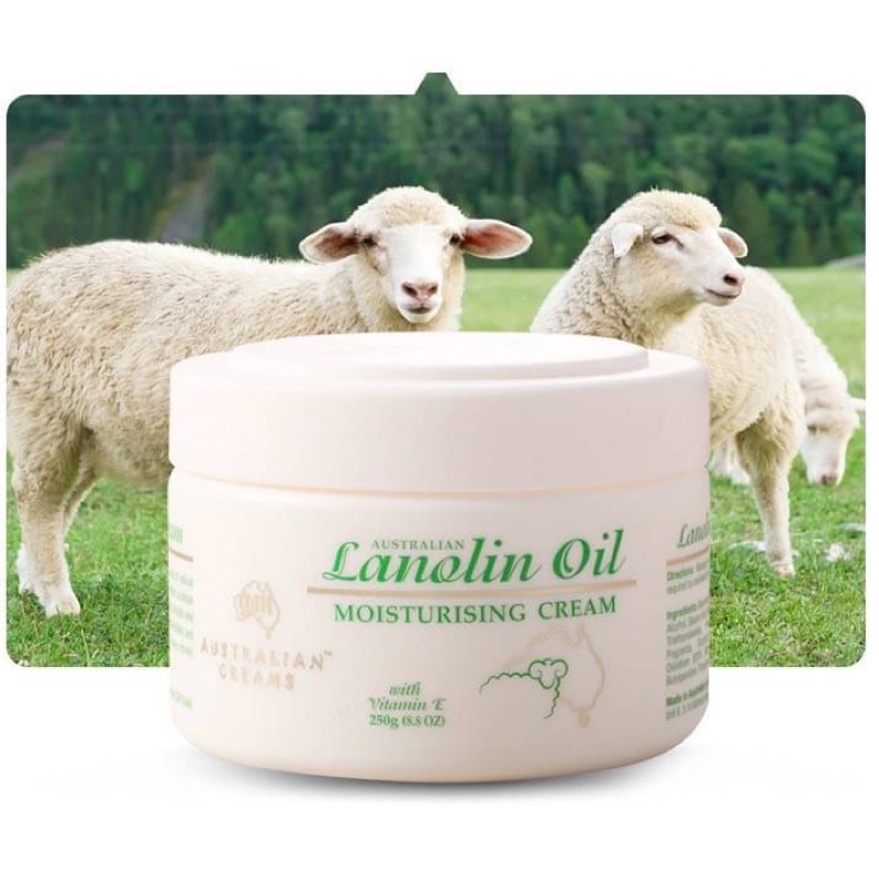 澳洲代購🦘Lanolin Oil 綿羊乳液