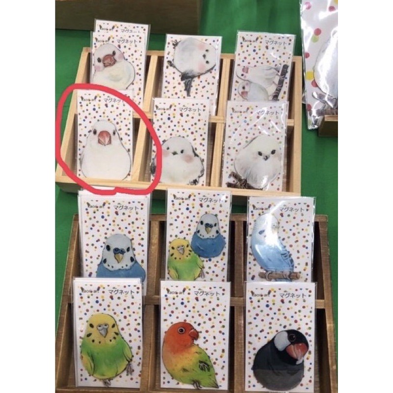 限定買家zoelaooo下單 白文鳥文鳥日本商品磁鐵 蝦皮購物