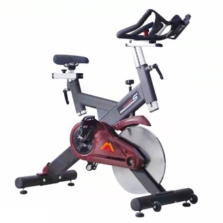 飛輪 飛輪健身車 健身車 室內靜音飛輪 皮帶驅動 運動健身