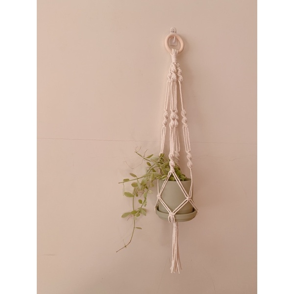 北歐風 編織吊缽繩 吊掛花盆 室內植物 編織繩 壁掛 花盆