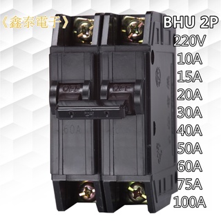 【士林電機】無熔線斷路器 BHU 2P 15~100A (220V 10KA) 無熔絲開關