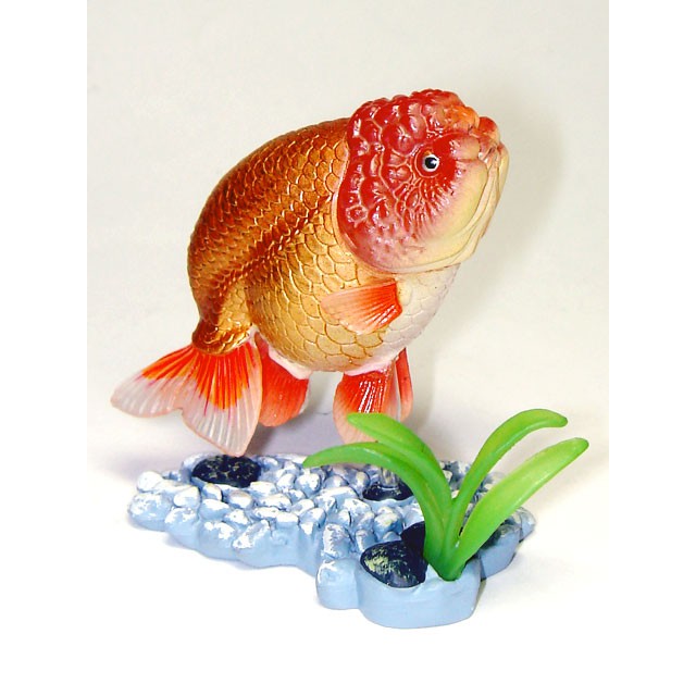 現貨yujin 原色觀賞魚圖鑑第一彈原色観賞魚図鑑金魚觀賞魚扭蛋轉蛋隱藏 蝦皮購物
