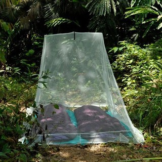 【COCOON奧地利戶外配件 】戶外旅行露營必備 防蟲蚊帳-雙人-綠