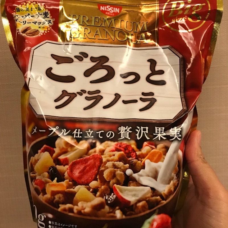 日本帶回 水果麥片 500g NISSIN