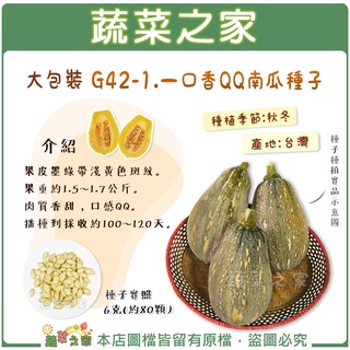 【蔬菜之家滿額免運】大包裝.一口香QQ南瓜種子6克(約80顆) // 果皮墨綠帶淺黃色斑紋。肉質香甜，口感