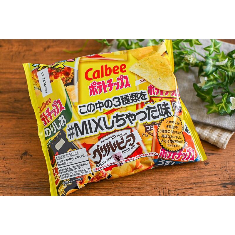 ネットワーク全体の最低価格に挑戦 Offクーポン配布中 フライドポテトガーリック味 500g お菓子 野菜チップス じゃがりこ 業務用 シーズニング ギフト 送料無料 Shipsctc Org