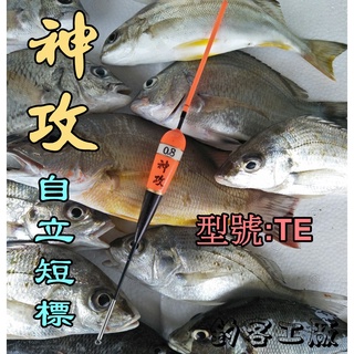 自作自售~手作海釣浮標 **神攻 自立短標**(型號:TE)