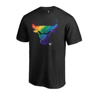 NBA 芝加哥公牛 bulls 彩虹logo 限量T-shirt 黑色美版L 官方正版 全新限量 含吊牌