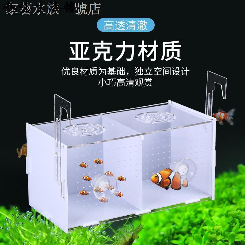 孔雀魚黑 Ptt討論與高評價網拍商品 21年8月 飛比價格