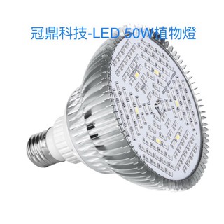 植物燈泡LED全光譜植物燈50W植物補光燈植物培植燈E27燈座用LED鹿角蕨植物燈