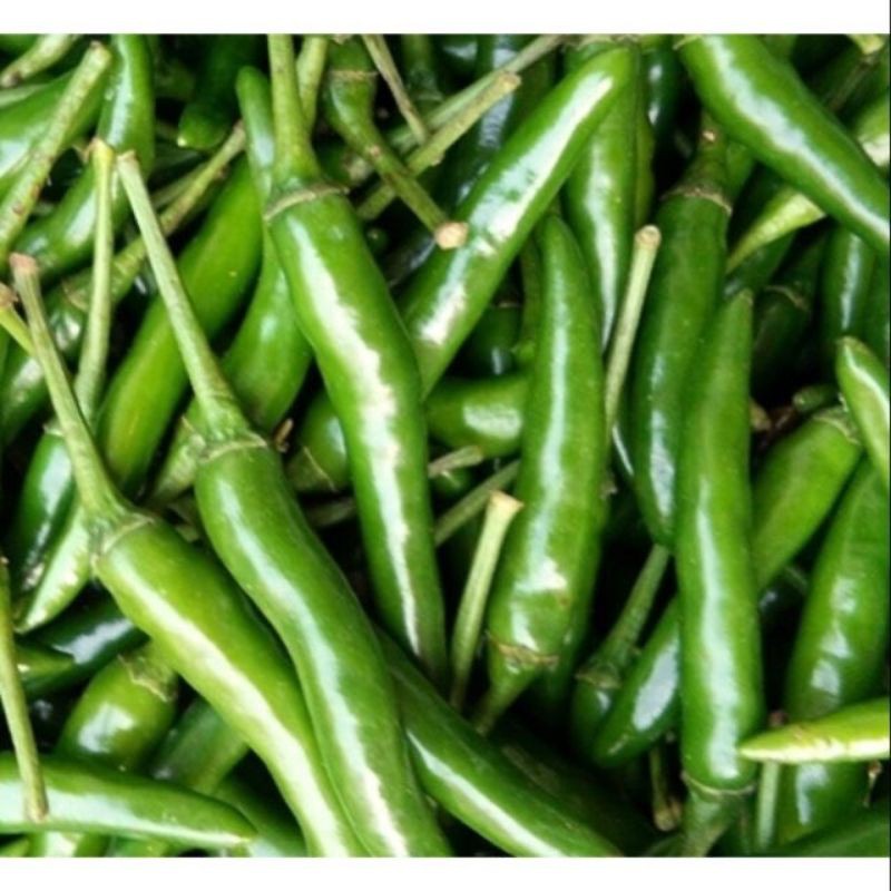青辣椒cabe ijau pedas 綠色辣椒chili 會辣的 辣椒 剝皮辣椒 1斤600g green chili