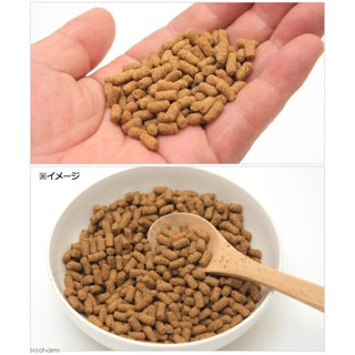 蜜袋鼯chu chu小舖-日本蜜袋鼯乳酸菌乾糧