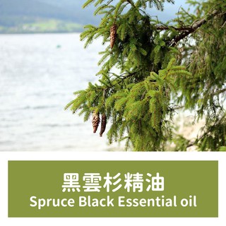 【馥靖精油】黑雲杉精油 Spruce Black Essential oil