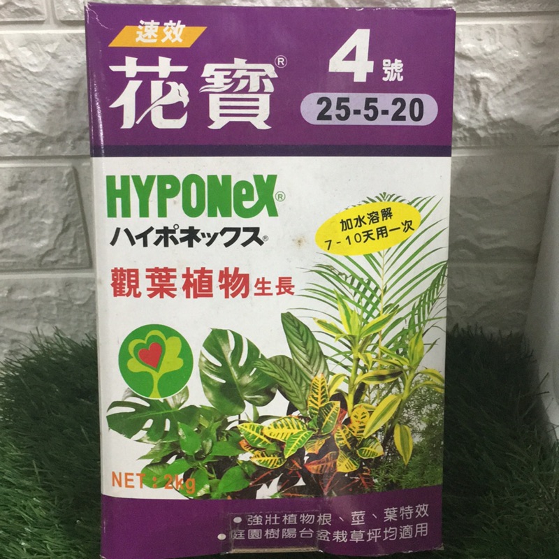 花寶4號 觀葉植物生長 2kg 園藝老牌速效肥料 蝦皮購物