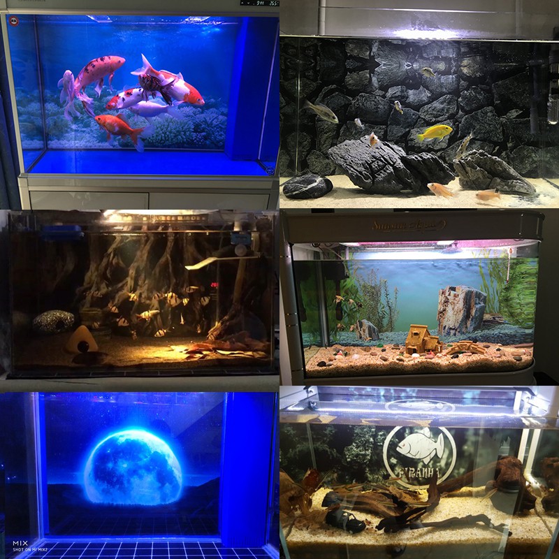 現貨熱銷 魚缸背景紙畫高清圖3d立體壁畫水族箱背景圖貼紙壁紙魚缸背景畫 蝦皮購物