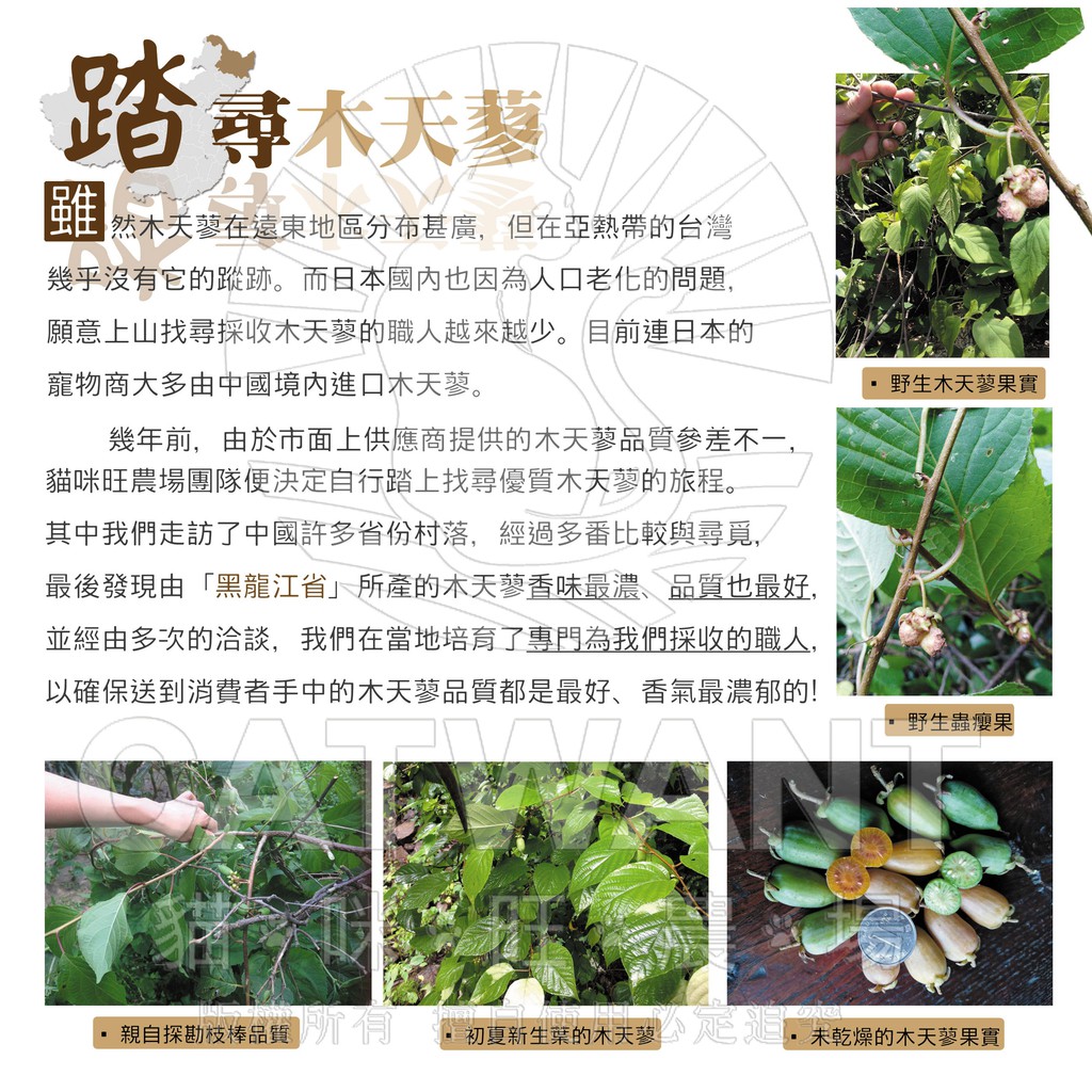 貓咪旺農場 木天蓼蟲癭果實顆粒40g 蝦皮購物