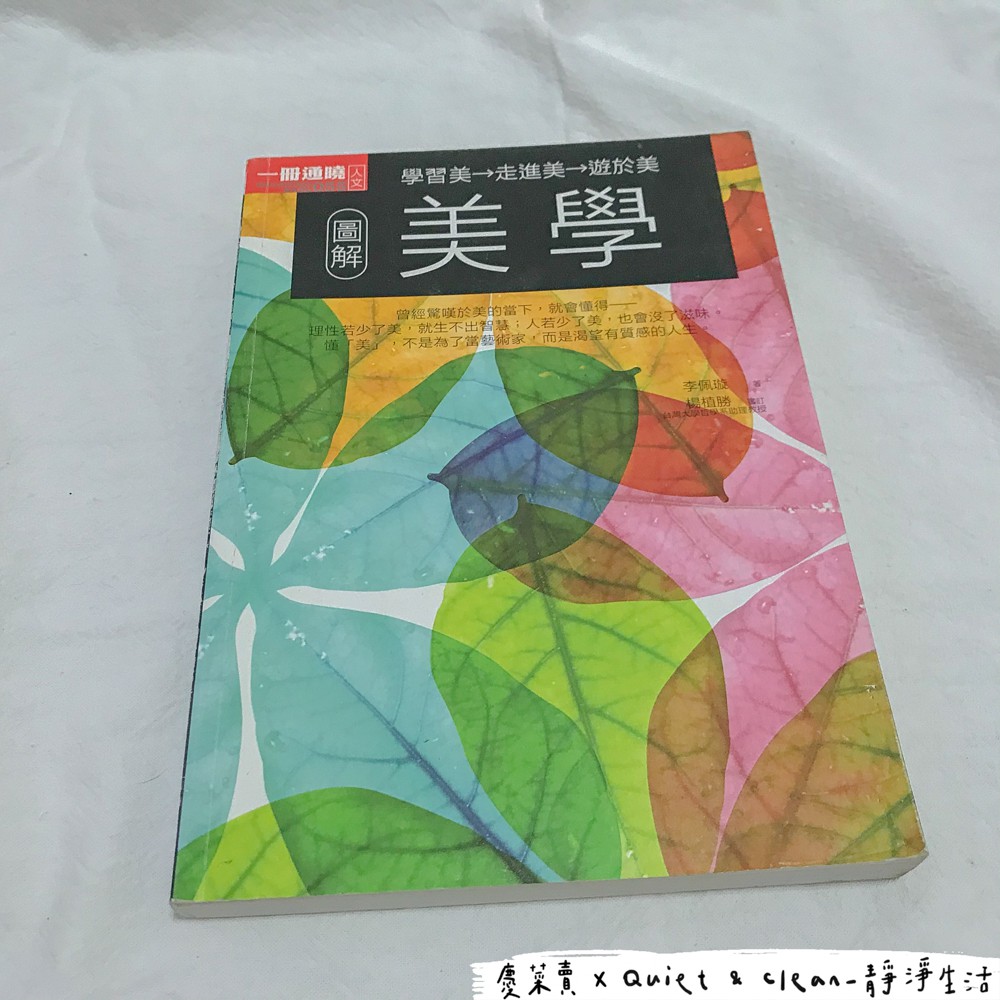 圖解美學(朝陽科技大學傳播藝術系美學課用書) 二手書