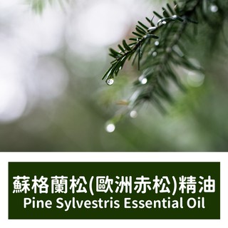 【馥靖精油】蘇格蘭松精油 (歐洲赤松精油) Pine Sylvestris Essential Oil
