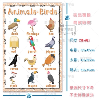 新品预售 幼兒啟蒙教育動物英語單詞思維導圖英文貼紙英語教室主題裝飾墻貼 蝦皮購物