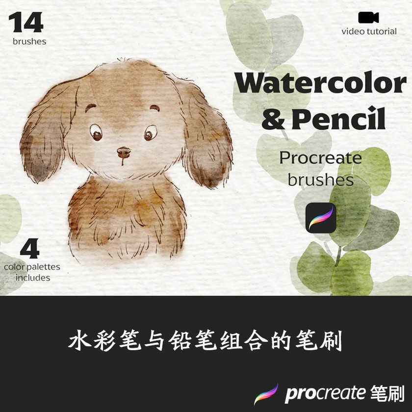 Procreate新款筆刷插畫漫畫水彩筆與鉛筆組合筆刷 蝦皮購物