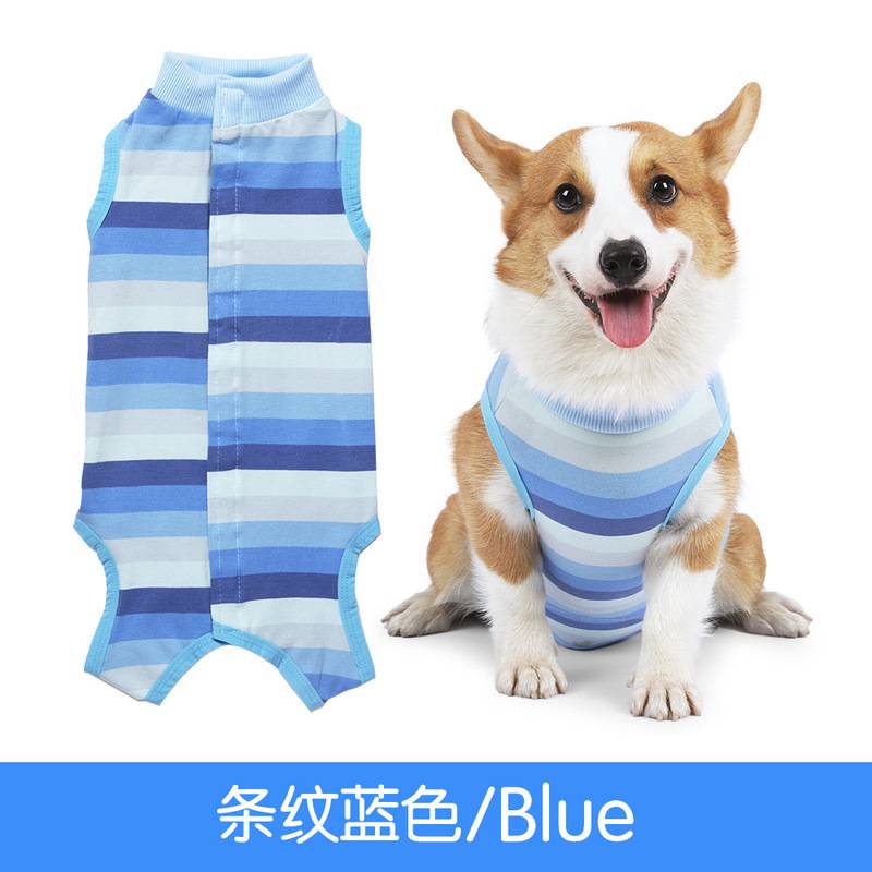 狗術後 Ptt Dcard討論與高評價網拍商品 21年10月 飛比價格