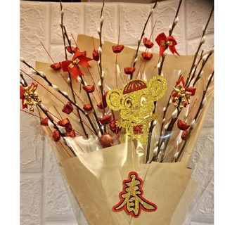 銀柳乾燥花束 招財貓柳 銀兩 年節飾品 過年插花 新年組合盆栽 春節蘭花 好彩頭盆栽 金蔥枝條 插花飾品 插枝 蝦皮購物
