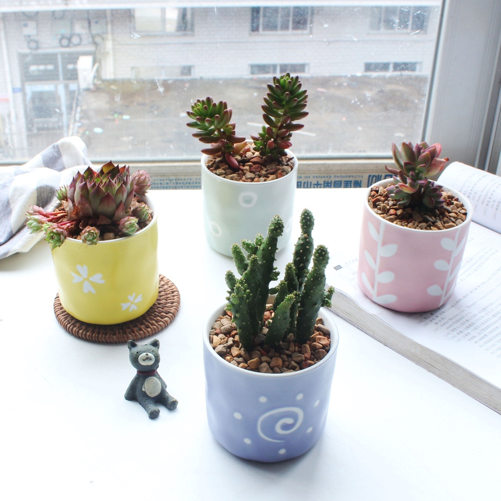 美好的生活 多肉植物花盆新款少女心日式小清新多肉花盆純手工手繪陶瓷小花盆花器植物容器家庭園藝 蝦皮購物