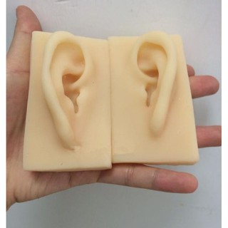 可開發票 成人1：1 一對 矽膠模擬耳朵 人造耳 耳朵模型 耳膜型 矽膠針灸耳朵 模型 AREE客滿來