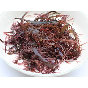 消暑涼拌海菜-紫晶藻