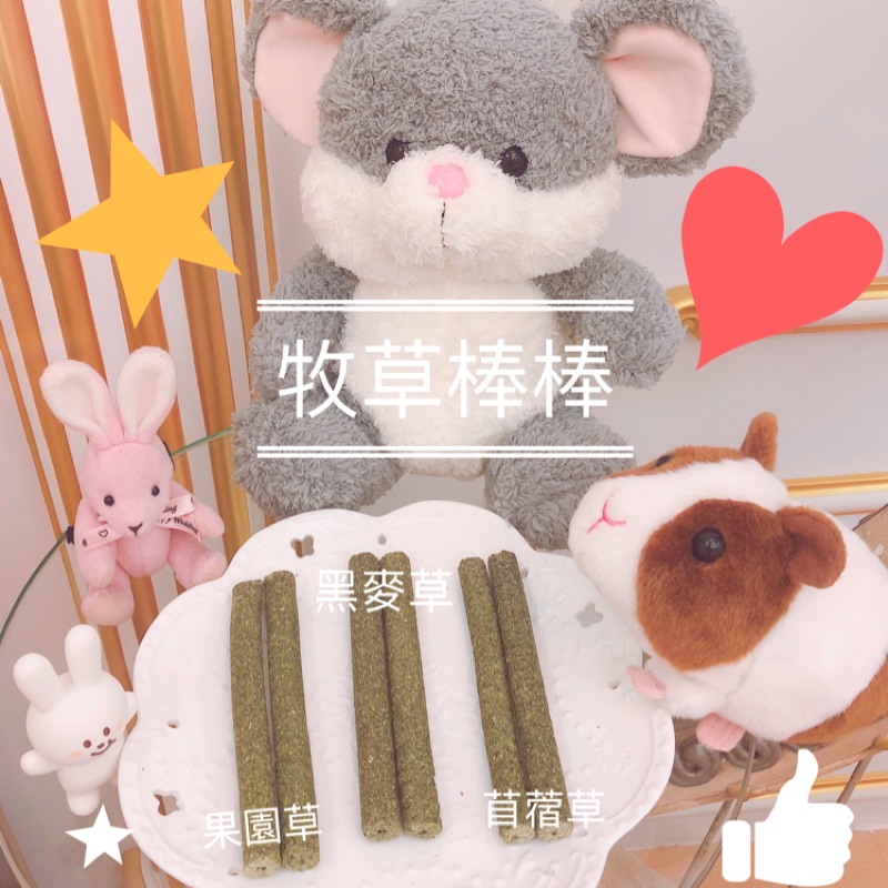 🐭芯有所鼠🐹香脆磨牙牧草棒棒❤️紫花苜蓿草黑麥草果園草提摩西營養補充天竺鼠🐰兔子🐱龍貓鼠類草食動物皆可食用👍