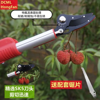 實惠好用摘水果香椿枇杷櫻桃神器果樹修枝剪刀多功能摘果剪高空加長高枝剪 蝦皮購物