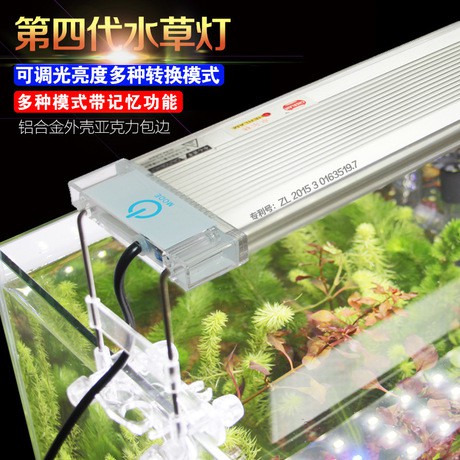 50 水草照明