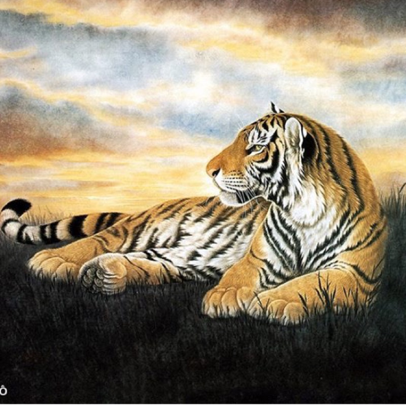 金斧頭鍛造一體成型防滑手柄套台灣製造刀頭沒開封 蝦皮購物