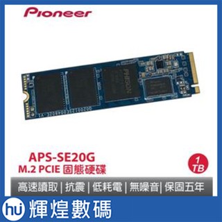 先鋒 Pioneer APS-SE20G 1TB M.2 PCIe SSD 固態硬碟