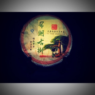 【二斟坊】經典2014布朗古樹。普洱茶生茶